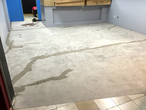 Quality Metallic Epoxy Floor at All Mobile Matters, Chandler, AZ
